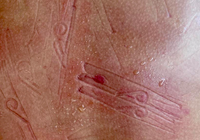 Artista Tenca Silva apresenta a performance “Pregação”