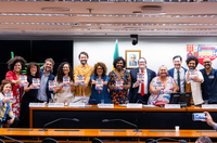 Câmara dos Deputados: Comissão de Cultura debate Política Nacional das Artes