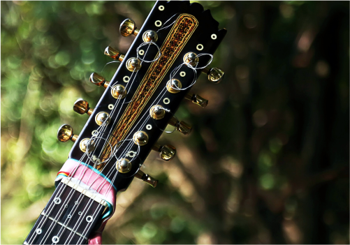 Arte de Toda Gente - Encontra De Violas