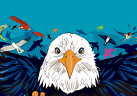 Espaços culturais de São Paulo recebem a sexta edição do ‘Festival MUCHO!’