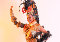 Exposição ‘Memórias da Alegria’ ocupa Funarte SP