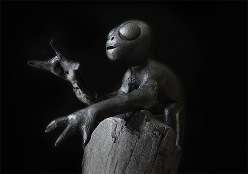 GERMINACOES.png