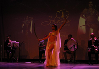 Funarte MG recebe Shams Dance Festival em julho