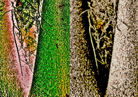 Funarte SP recebe a exposição ‘Ecoartivismo Sampa’