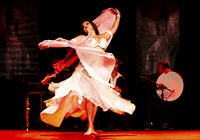 Mostra de dança Árabe apresenta-se na Funarte MG