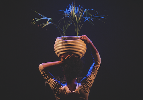 Espetáculo ‘Retilíneo’ - foto: divulgação