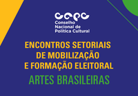 Reuniões virtuais explicam eleições do CNPC a setores artísticos