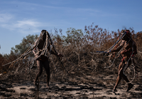 Teatro Cacilda Becker recebe curta temporada do espetáculo ‘Cordeiros’