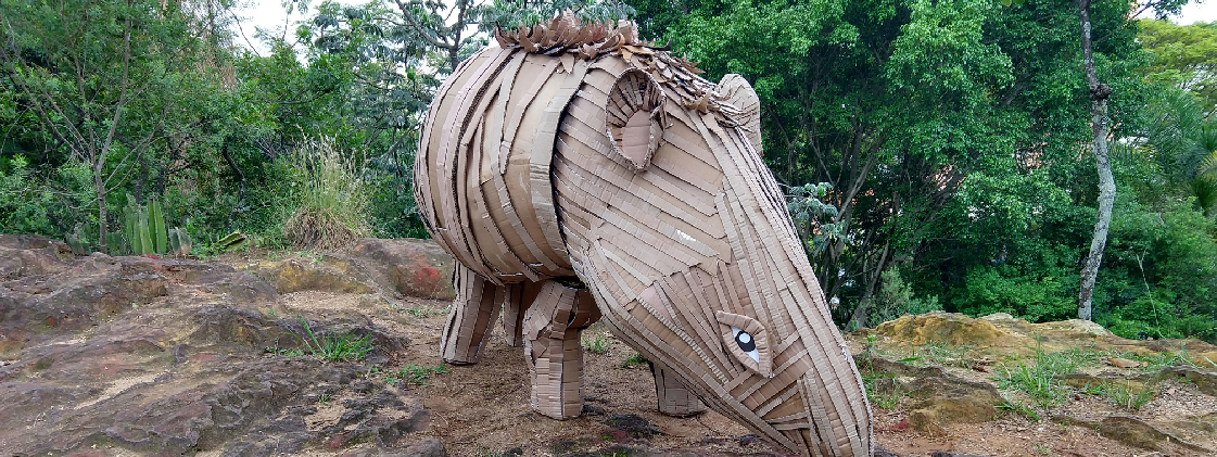 Espécies em extinção da fauna brasileira em exposição na Funarte SP