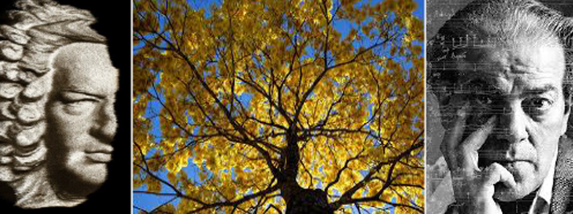 Sociedade Musical Bachiana Brasileira apresenta o V Festival Bach do Rio de Janeiro