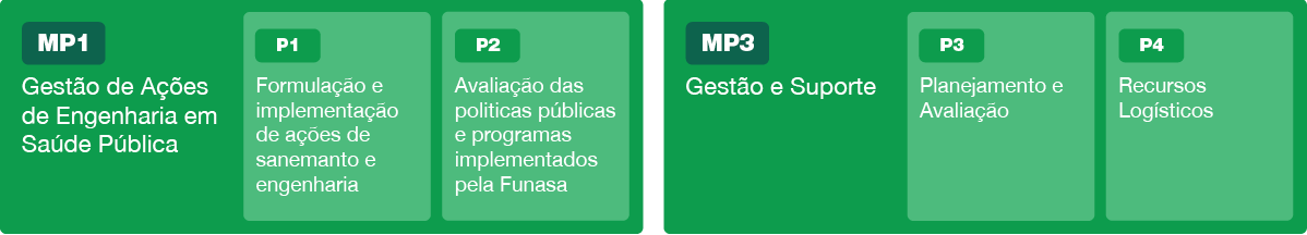 banner: Macroprocessos (MP) e Processos (P) selecionados