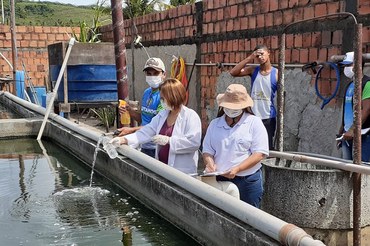 Coleta de amostra de água para análiseFoto: Suest/SE