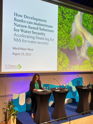 Mulher realizando uma palestra