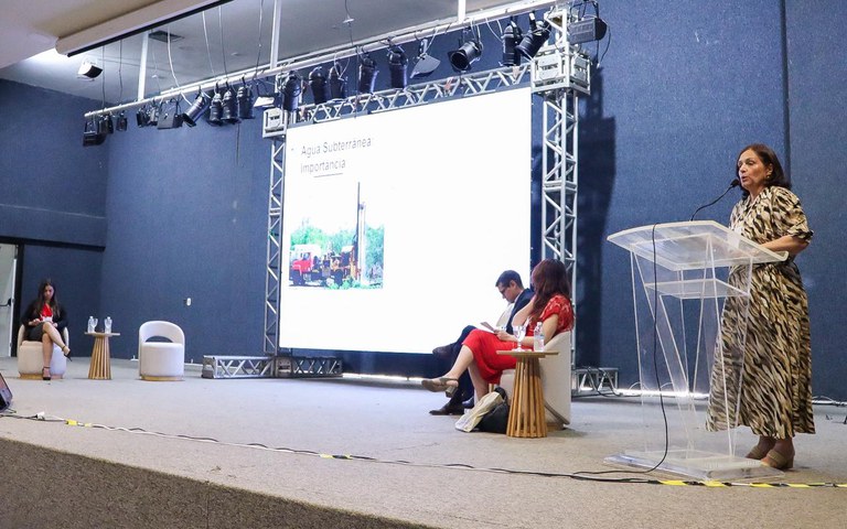 Em painel no 2º Sanea Brasil