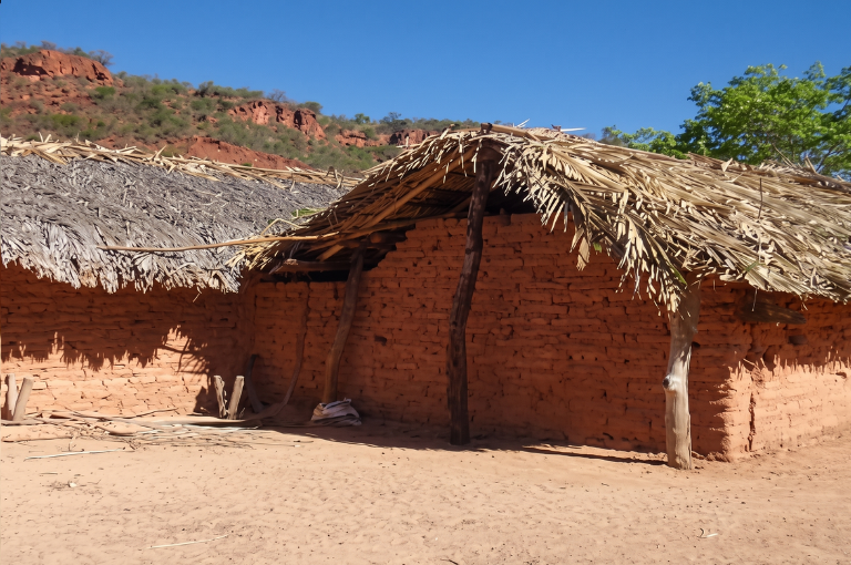 Fundação reforça importância de diagnóstico oportuno e melhorias habitacionais para reduzir transmissão em áreas vulneráveis