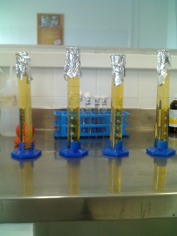 Provetás com amostras de água em bancada de laboratório, utilizadas em análises físico-químicas para avaliação da qualidade da água.