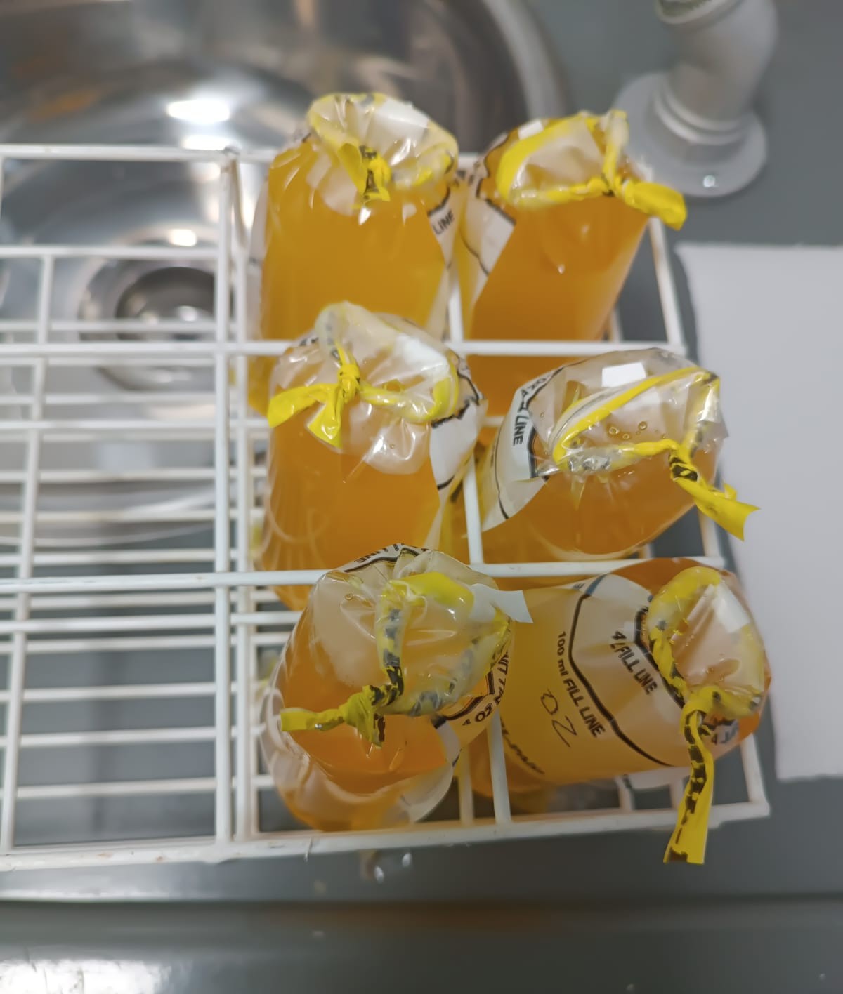 Foto de pacote contendo 6 amostras lacradas e identificadas.