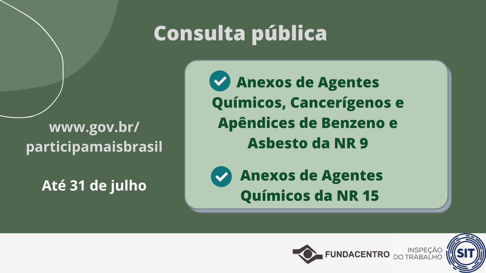 Consulta Pública (1).png