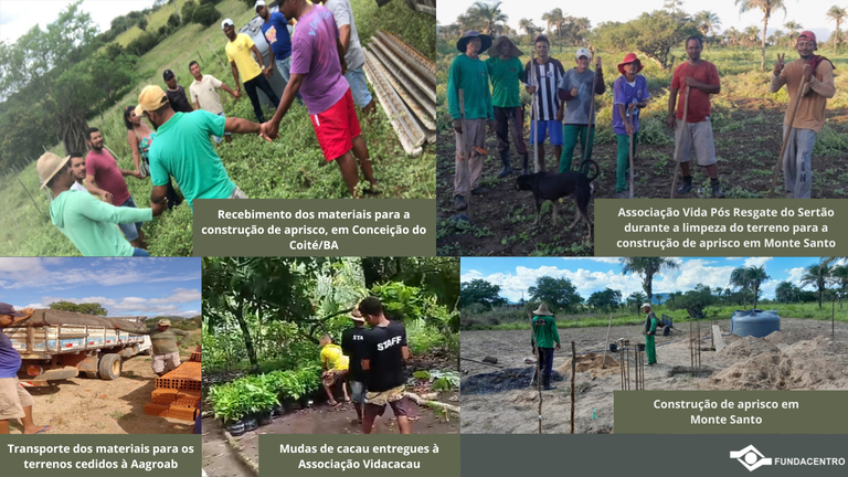 Vida Pós Resgate (2).png