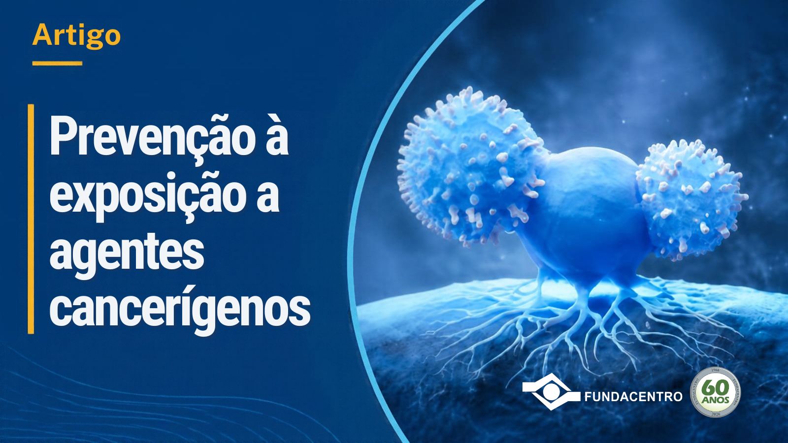 Card de Divulgação