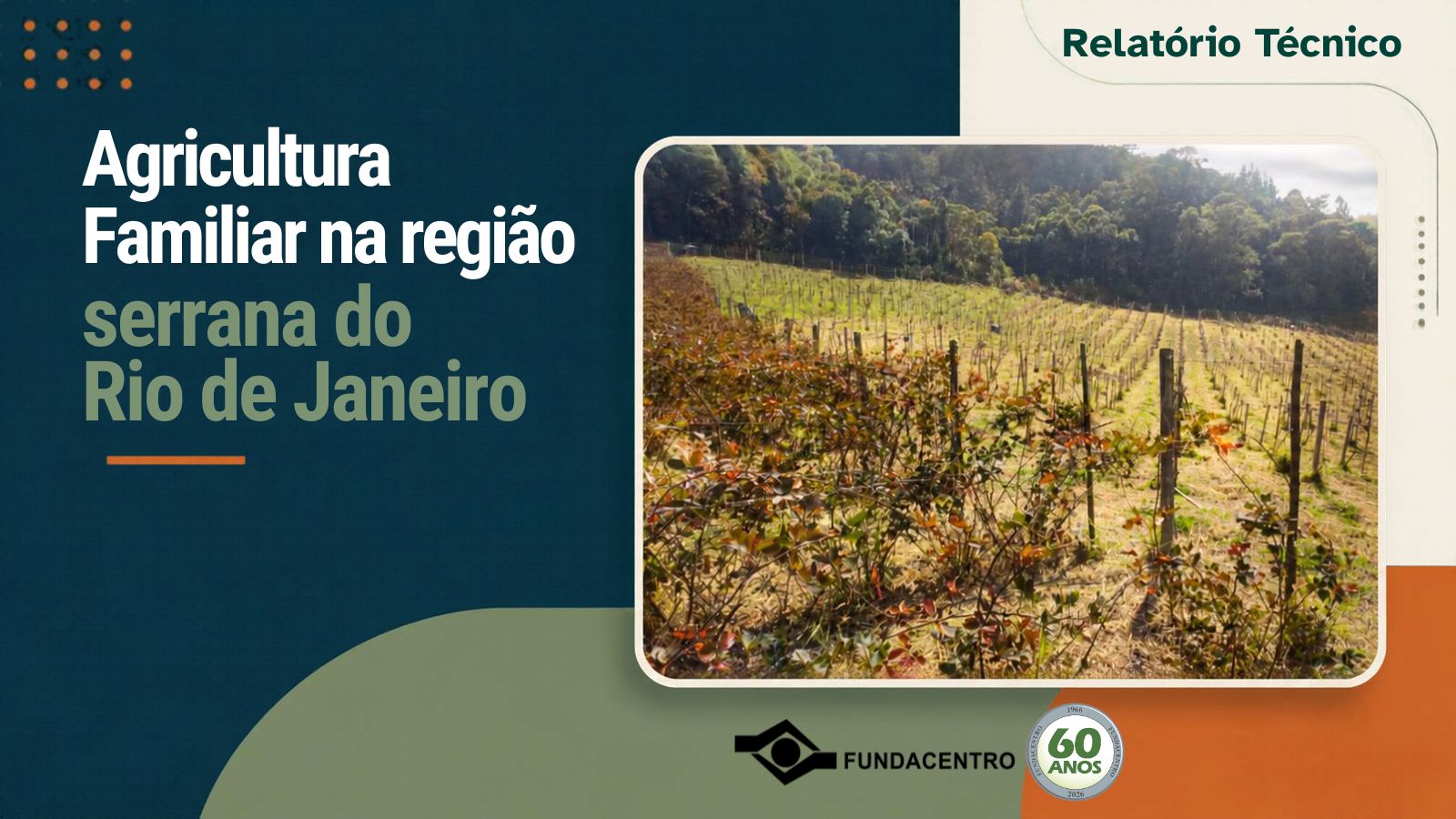 Card de Divulgação
