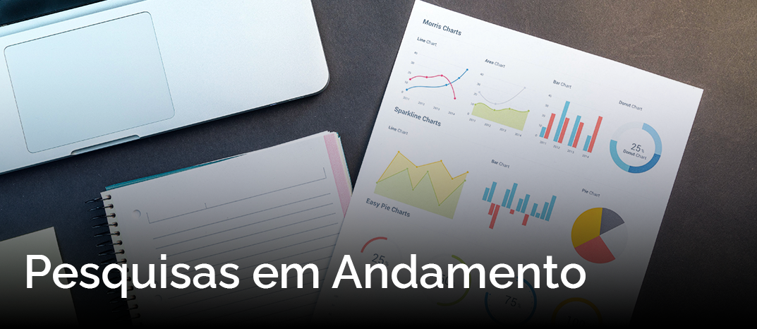 Pesquisas em andamento.jpeg