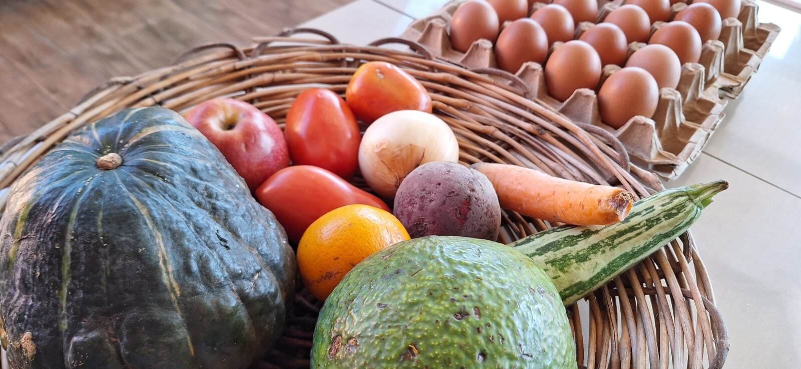 The Global Alliance against Hunger and Poverty will be launched during the G20 Summit in November in Rio de Janeiro. Photos: Orrico Fog/MDS