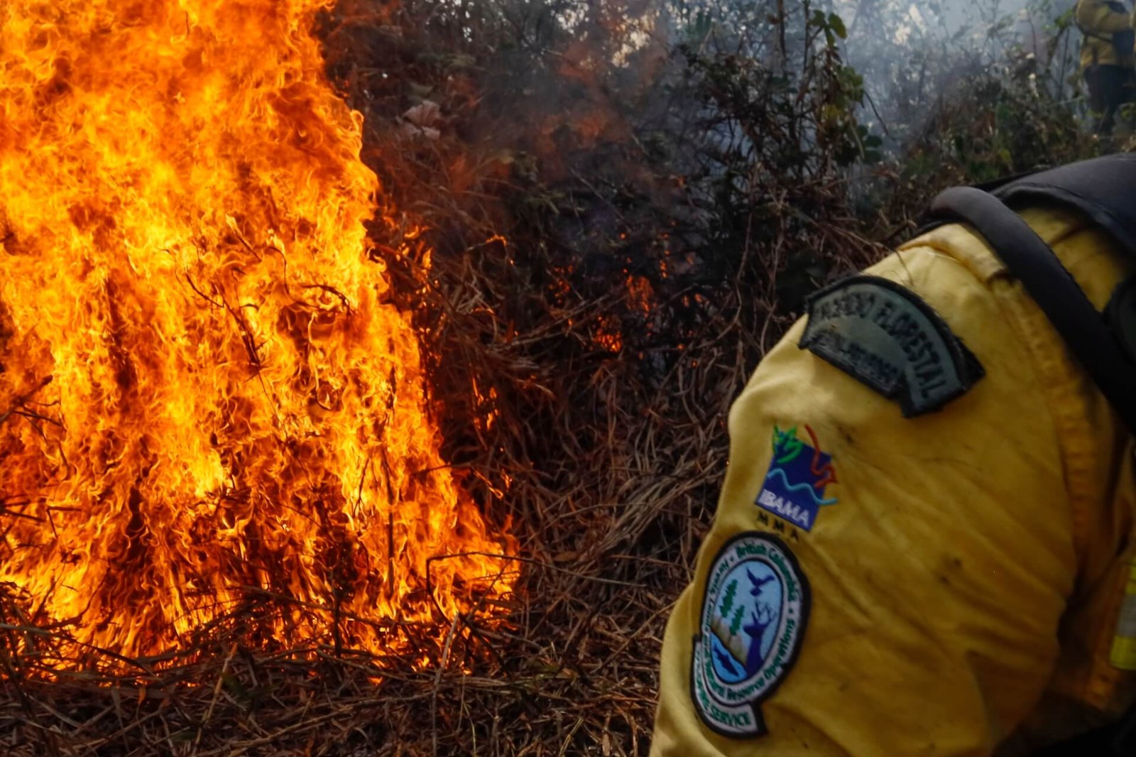 Prevfogo firefighters/IBAMA firefighters tackle wildfires in the region of Corumbá, located in the state of Mato Grosso do Sul. Photo: Fernando Donasci/MMA