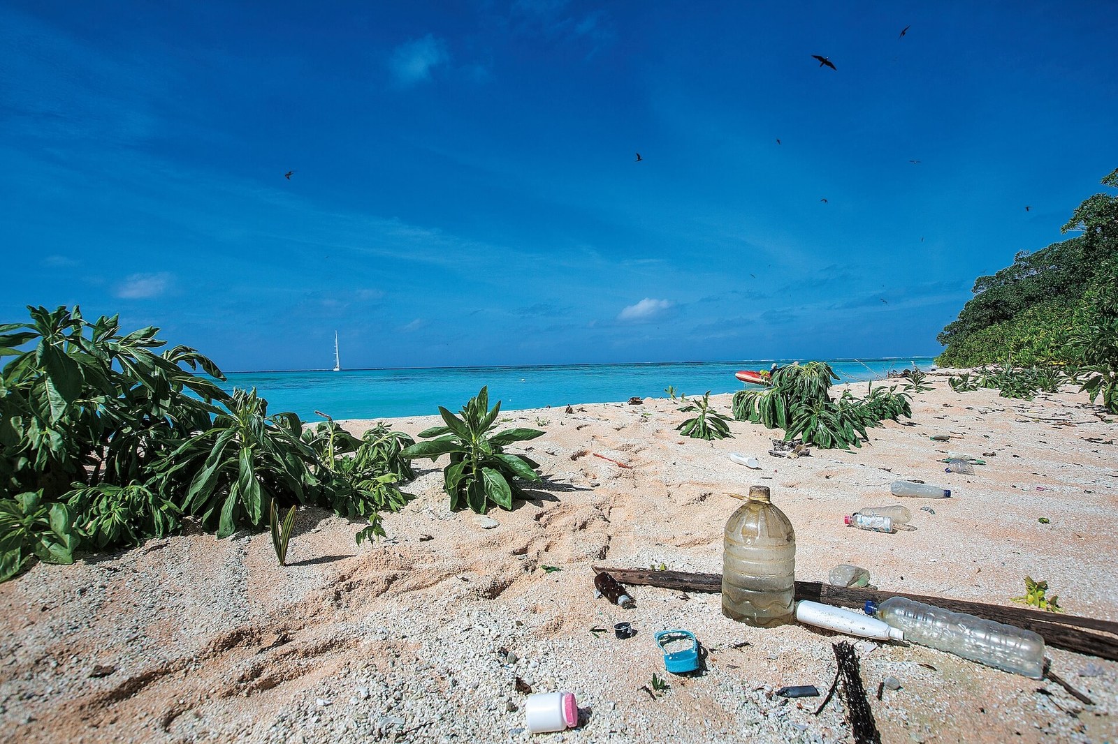 The Schurmann family came across a paradise island covered in garbage. Photo: Press Release/ Voice of the Oceans