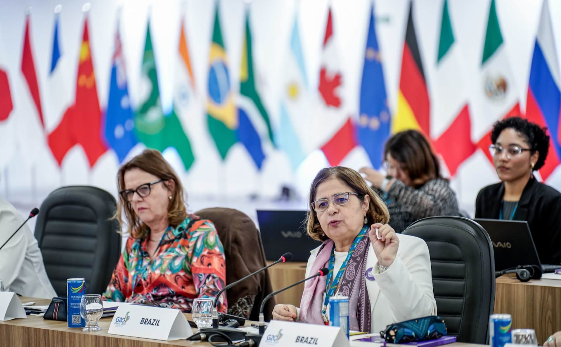 Cida Gonçalves estuvo junto a la secretaria ejecutiva del Ministerio, María Helena Guarezi, quien coordina el trabajo del GT. Foto: Audiovisual/G20