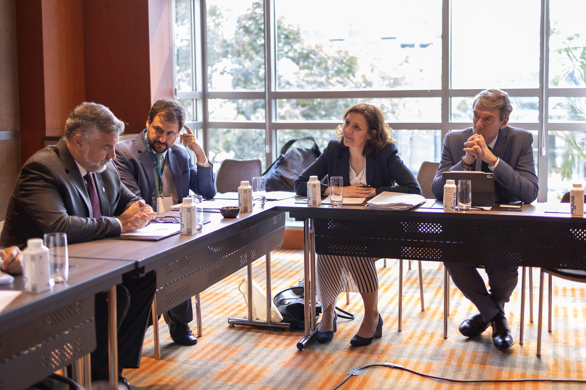 Meeting with Elsa Pilichowski, OCDE Public Governance Director | Photo: G20 Brasil Audiovisual 