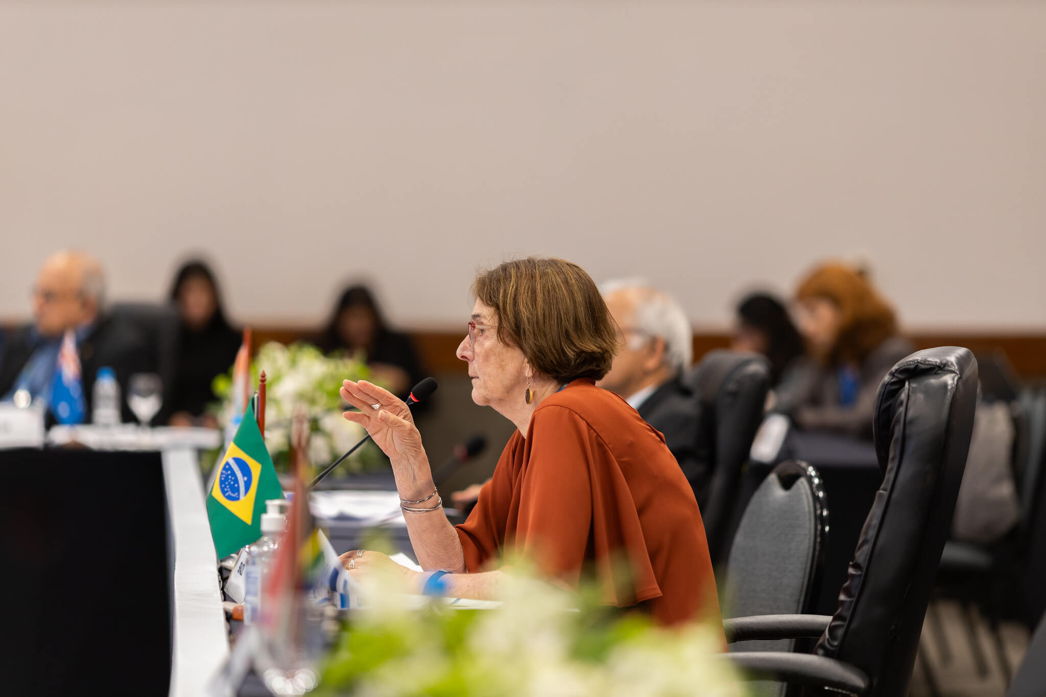 Helena Nader presidiu a reunião ao lado de representantes da Índia e da África do Sul, países que compõem a troika junto ao Brasil. Foto: Audiovisual/G20