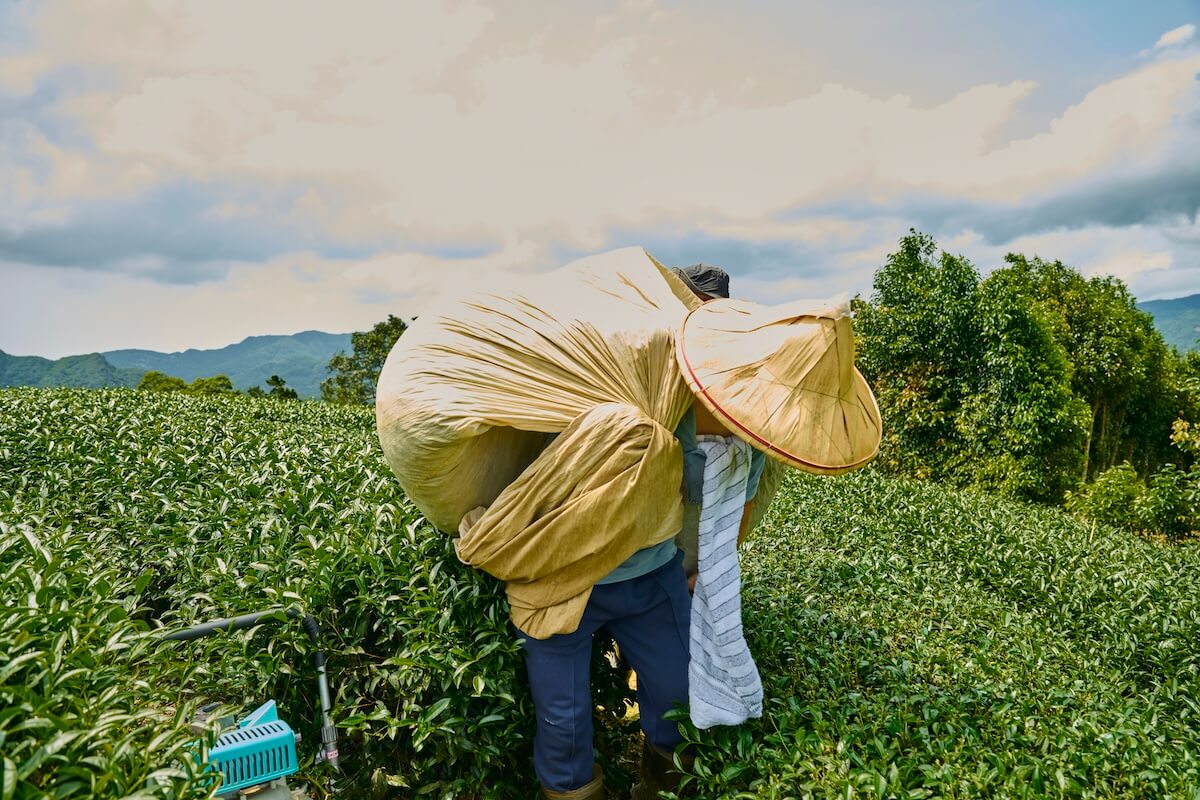 Comunidades tradicionales de todo el mundo son vigilantes de la naturaleza y necesitan ser remuneradas por servicios ecosistémicos. Foto: Getty Images