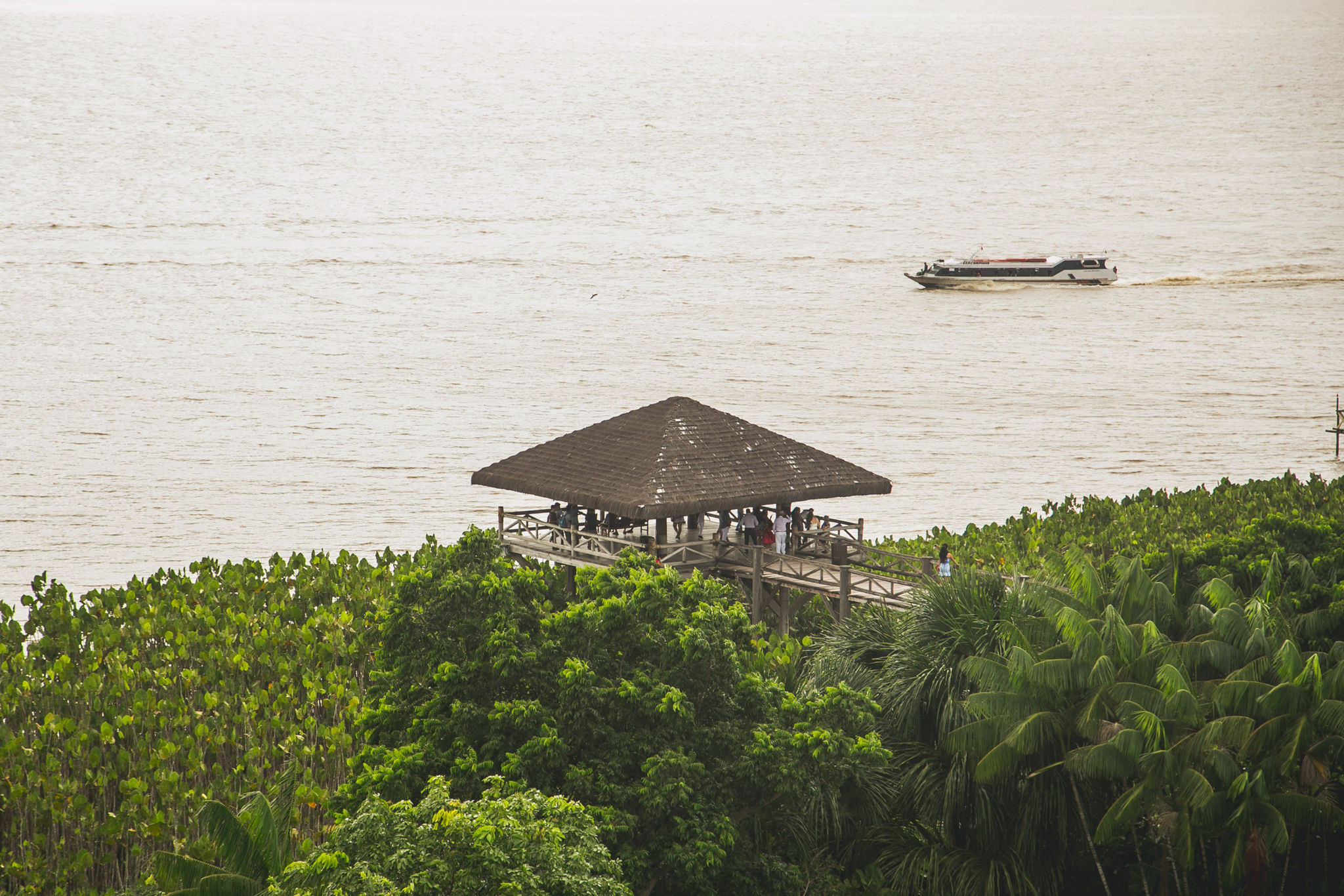 Parque Zoobotânico Mangal das Garças em Belém/PA | Foto: Bruna Brandão/MTUR