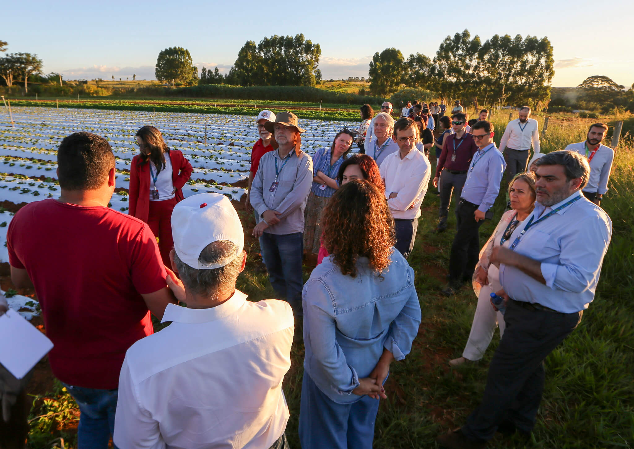 The settlement's production is based on the principles of agroecology. Photo: Albino Oliveira/MDA