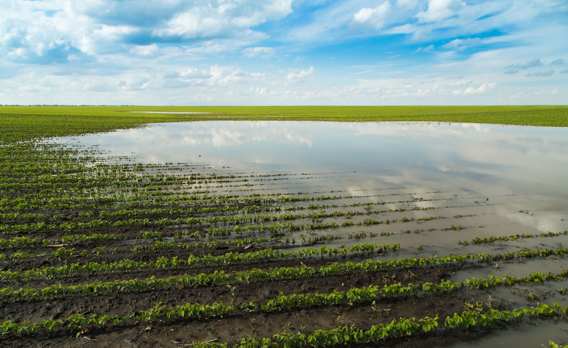 Centenas de agricultores mundo afora enfrentam as consequências das mudanças climáticas. Crédito: Getty images.