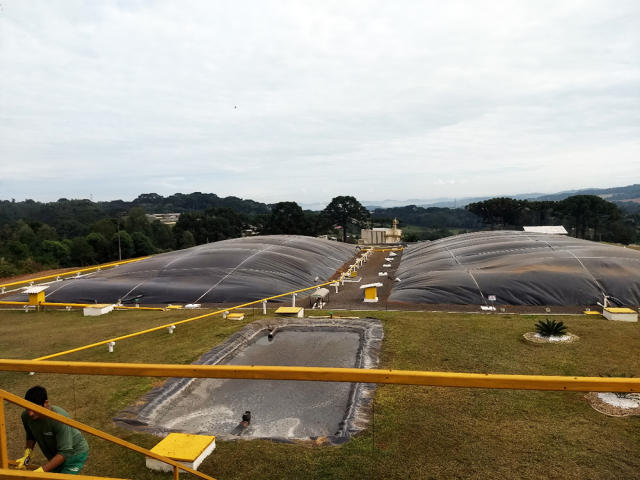  Generation of energy through the fermentation of grasses | Photo: Airton Kunz/Embrapa.