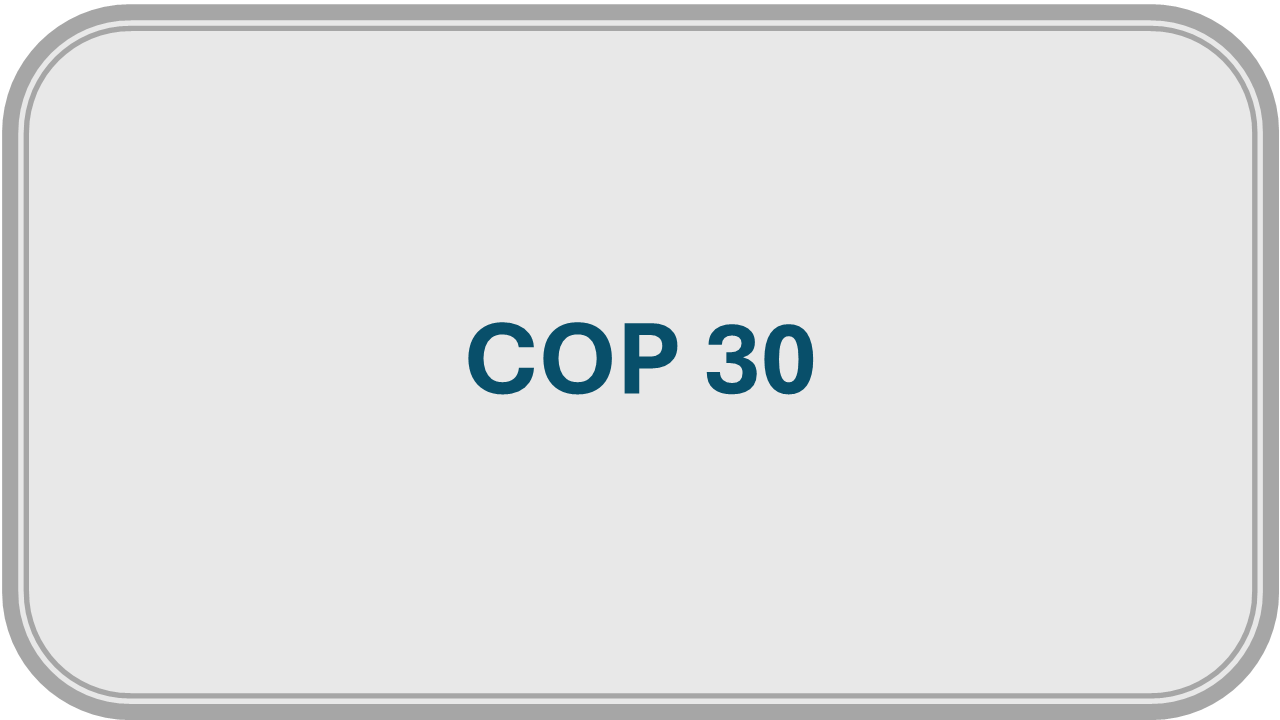 COP30