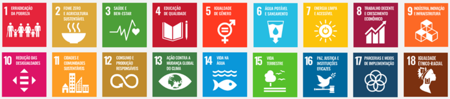 Figura com a lista dos Objetivos de Desenvolvimento Sustentável