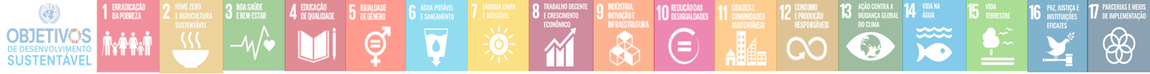 Figura com a lista dos Objetivos de Desenvolvimento Sustentável