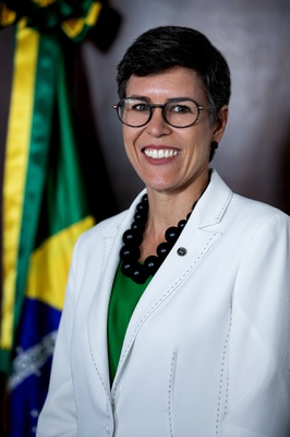 Ana Paula Lindgren Alves Repezza