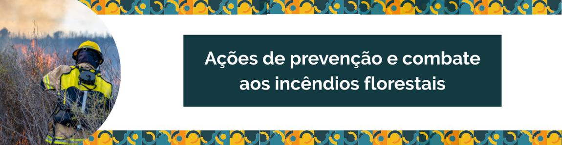 Ações de prevenção e combate aos incêndios florestais