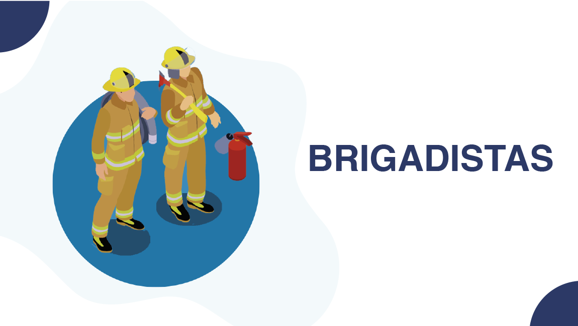 3bannerBRIGADISTAS.png
