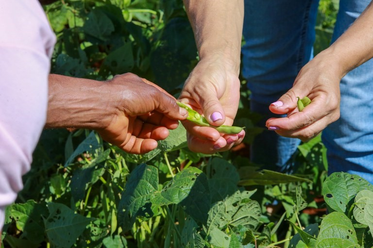 Mais de 3,4 mil hectares de terra pertencentes à União destinadas a assentamentos.png