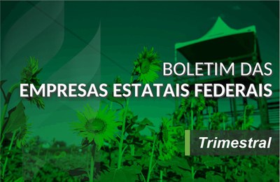 Mini Boletim 13