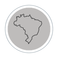 `Círculo cinza com ícone de bandeira do Brasil simbolizando o ProPEN
