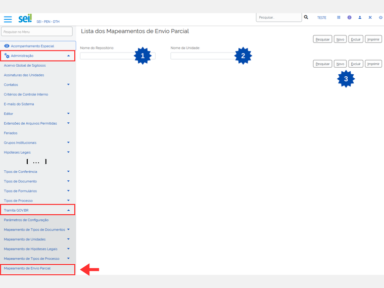Figura 12 – Tela inicial da funcionalidade Mapeamento de Envio Parcial.