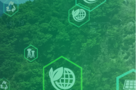 Fundo verde com elementos de natureza e texto: Acesse o Painel ProPEN