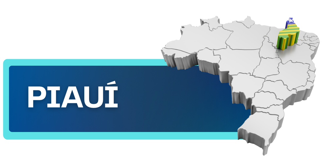 Botão com nome e mapa do Piauí