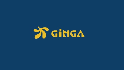 Ginga tablet.JPG